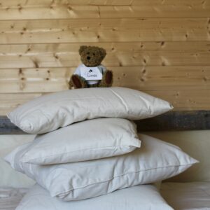 🛏️ Oreiller en laine bio 60×60 cm